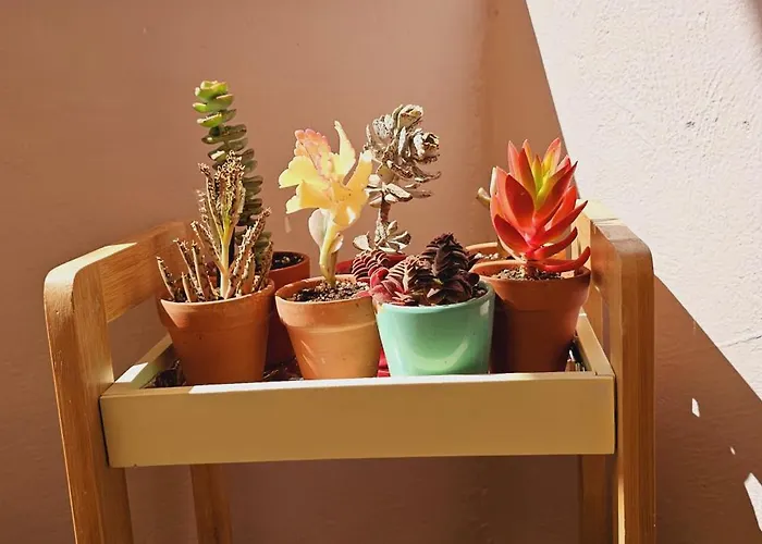 公寓 Nuci's Place 3, Cozy 1 Bedroom With Balcony Near Bllok 地拉那